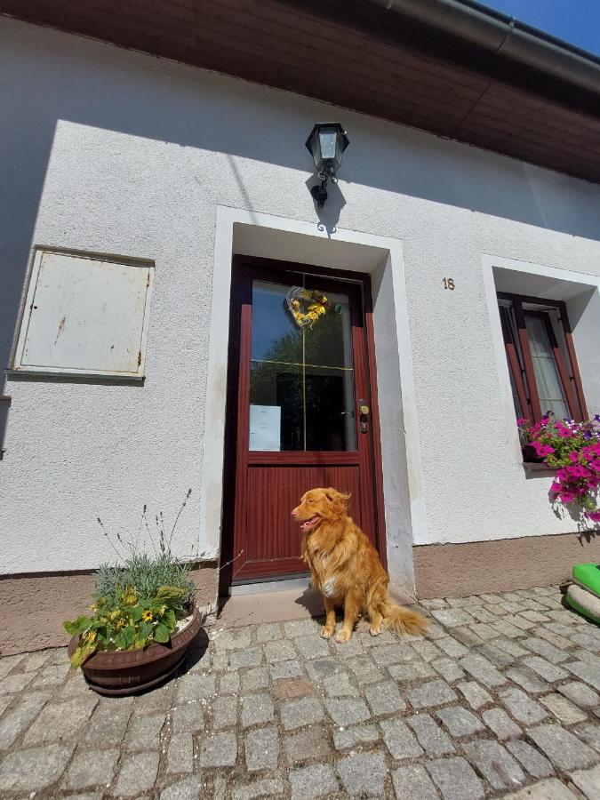 Penzion Na Vysluni Strasin Exterior foto