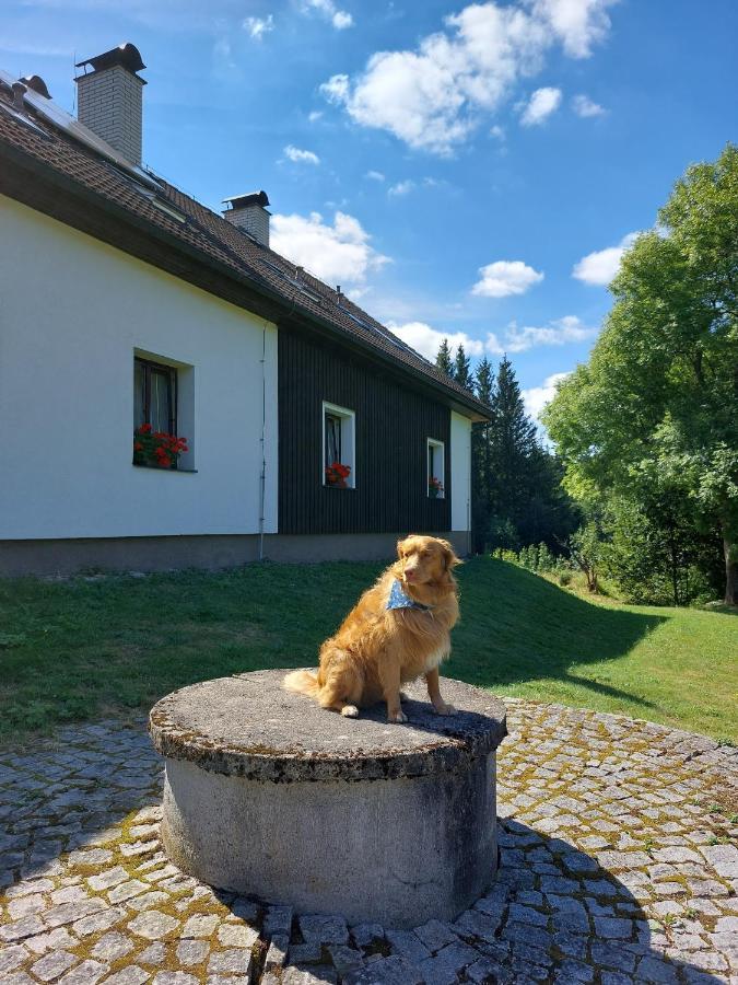 Penzion Na Vysluni Strasin Exterior foto